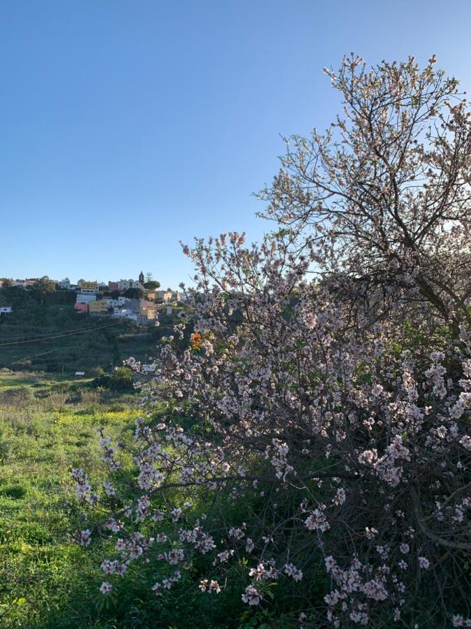 El Sosiego, Der Rueckzugsort Santa Brígida Kültér fotó